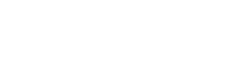 Bluewire Logo